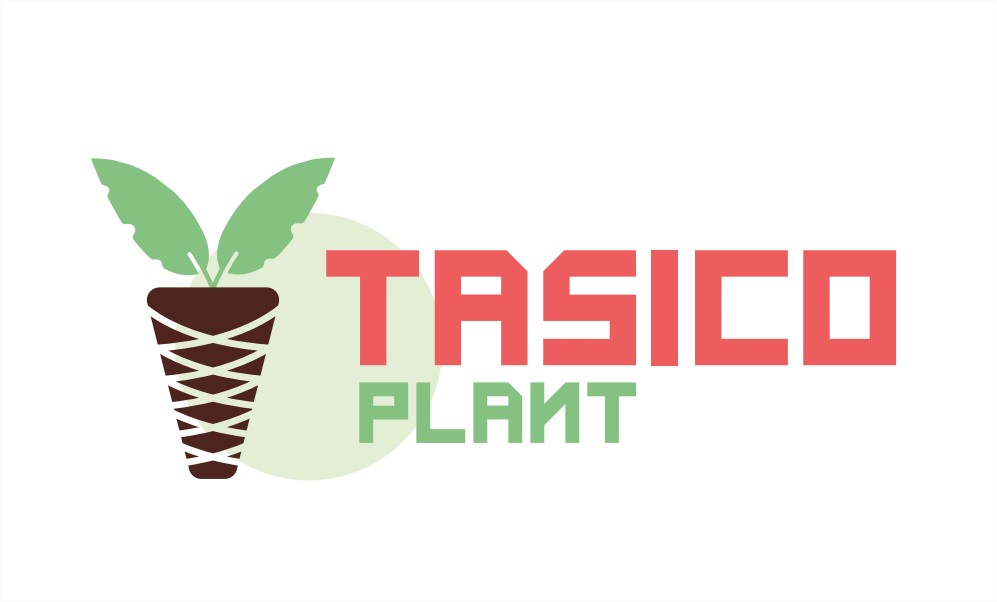 TASICO PLANT